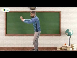 MWBW Two Hand Catch - Level 3 - Froggy Fly Catcher