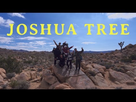 the outdoors is more fun with friends: backpacking joshua tree