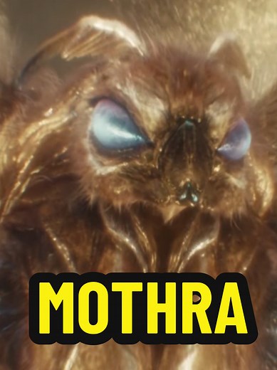 MOTHRA LA REINA DE LOS MONSTRUOS Hoy en Godzillología hablaremos sobre el trayecto de Mothra desde los 60s hasta la actualidad! A ti también te gusta Mothra? pues en la página de @Guslutt podrás encontrar varios artículos relacionados con la Reina de los Monstruos,o si lo prefieres,puedes venir a visitarnos en Convento de San Hipólito No.2 Plaza Exhacienda Tlalnepantla de Baz Estado de México,a 5 minutos de Mundo E. Eso ha sido todo por el día de hoy! #mothra #mothraqueenofthemonsters #godzilla