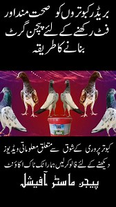 How To Prepare Pigeon Grit For Breeder Pigeons. Like and share the video if its increase your knowledge about pigeon hobby. Follow my facebook page Pigeon Master for more pigeons informative videos. #pigeonmaster #pigeon #pigeonsofinstagram ##pigeonsloversofallkinds #kabootarbazi #kabootar | PIGEON MASTER