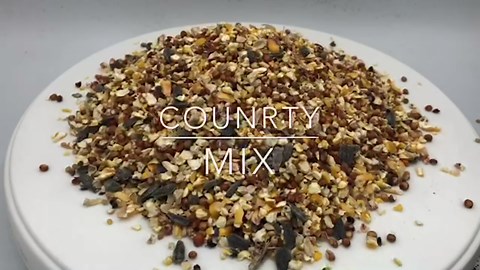 Magnetic Badge Holder, Funny Cute Cat Retractable Badge Reel, ID Card Clip for Nurses, Teachers, Office Professionals