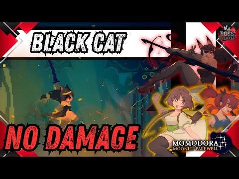 [NO DAMAGE] BLACK CAT Boss Fight – Clean & Focused Strategy | Momodora Moonlit Farewell