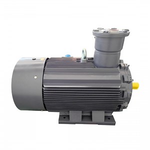 [Hot Item] 50Hz 15kw IP55 Flame Proof Electrical Motor AC Electric Motor with Exdiibt4