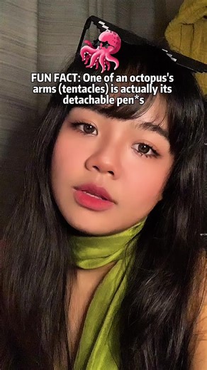You read that right. The male octopus has a modified arm called a hectocotylus that basically functions as a delivery system. 🐙 In some species like the argonaut he literally detaches the arm and leaves it inside the female. Talk about leaving a part of yourself behind. And yes it is an arm not a tentacle. Don't come for me in the comments! #octopusfacts #fyp #weirdnature #oceanlife #learnontiktok