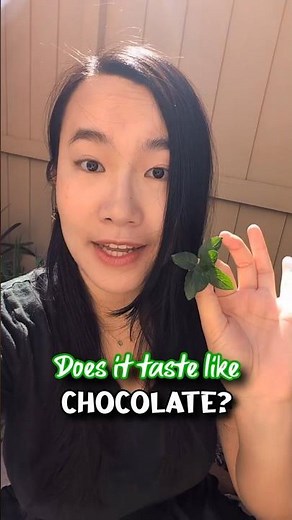 Let's try Chocolate Mint! 🍫🌿