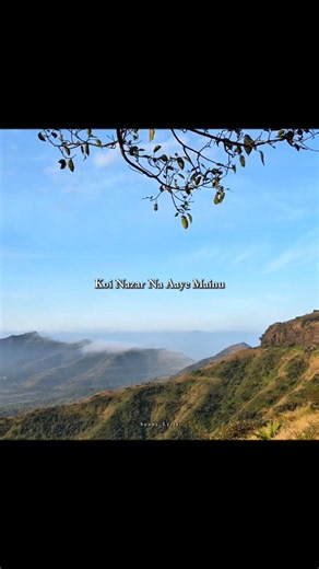Pal Pal Dil Ke Paas ✨ Aesthetic Lyrics | Koi Nazar Aaya Mainu | Lyrics Shorts