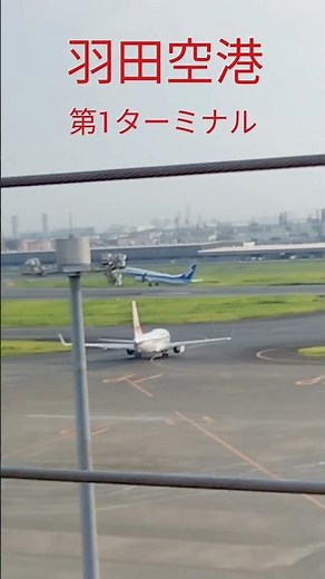 #羽田空港 #第1ターミナル #国内線 #6階 #展望台 #展望デッキ #JAL #飛行機 #ジェット機 #無料 #着陸 #離陸 #轟音 #迫力 #癒し #休憩