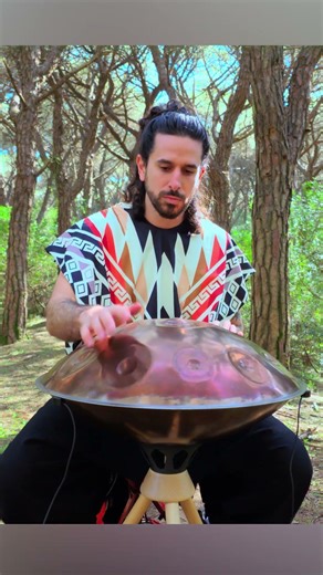 The handpan and the trees and nothing else