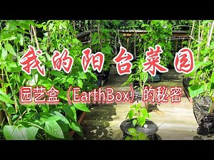 我的阳台菜园 – 园艺盒（EarthBox）的秘密