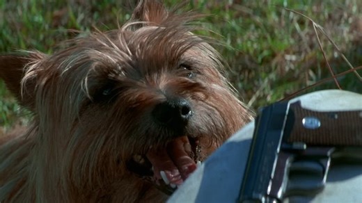 2 Days in the Valley (1996) 1080p