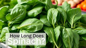 how long does spinach last? - Test Food Kitchen