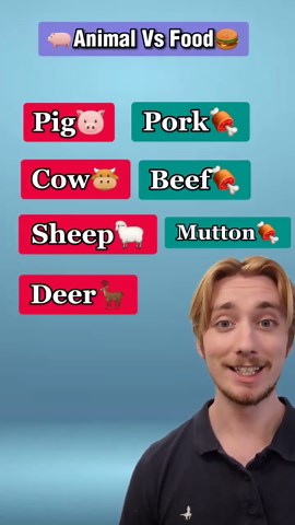 Animal vs Meat Names in English Learn Vocabulary for Pork, Beef, Mutton & More!