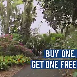 15K views | Visit Central Florida on Reels | Facebook