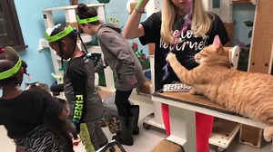 We had the kids make DIY cat and dog toys to play with the pets at Caddo Parish Animal Shelter! We are here till 2:00 today if you want to stop on by! | Pet Education Project