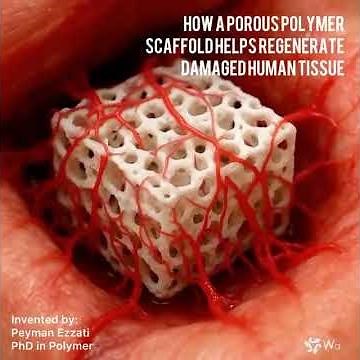 How a Porous Polymer Scaffold Helps Regenerate Damaged Human Tissue - P Ezzati #tissueengineering