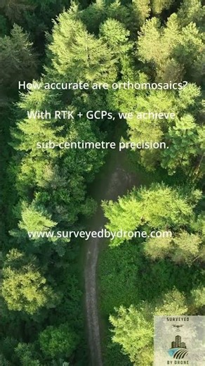 How Accurate Are Orthomosaics