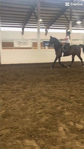 PRACTICE RIDE!! I show in classes 41+88 on Saturday+Sunday morning! 💕#horse #eq‪@ThePinkEquestrian12‬