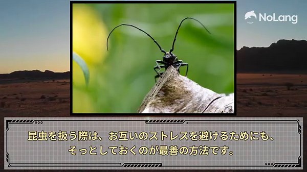 この虫、噛む？カミキリムシの知られざる危険性と対策法！