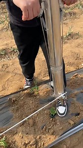 186K views · 767 reactions | Planting machine #plantingtips #gardening #gardeningtips #plants #growing | Gardening & Landscape Ideas | Facebook