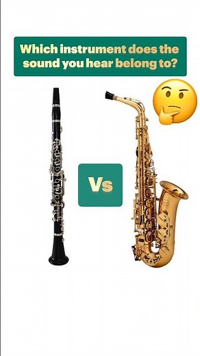Saxophone or Clarinet? Guess the Sound Challenge! 👂🎶