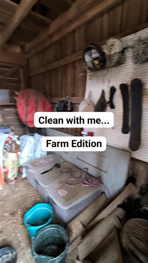 Time to clean out the feed room and get a handle on all the STUFF that's been building up, because I want to turn this into a proper milking parlor! #cleanwithme #farmchores #farm #sheep #barn #barnchores #dairy #dairysheep #homedairy #homestead #homesteadlife | Sycamore Hill Farm