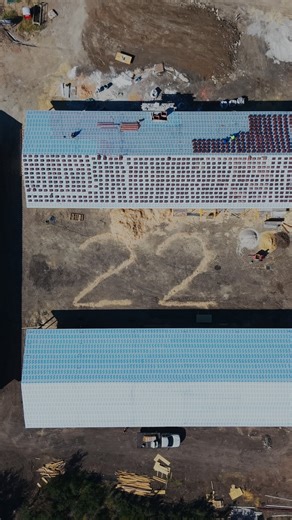 10K views · 156 reactions | 22 years ago, Blue and I started...