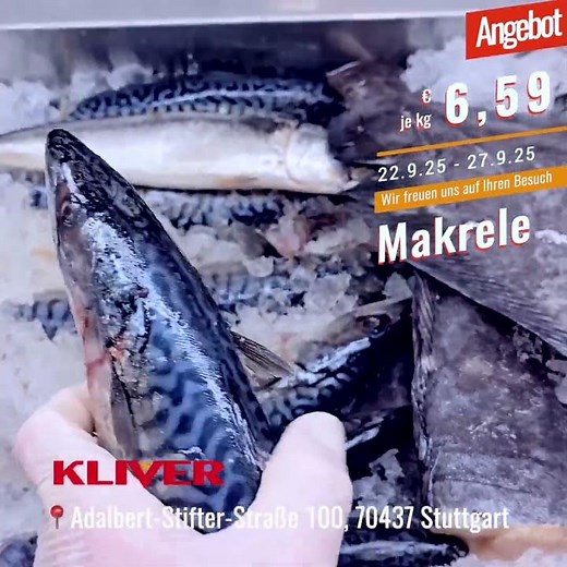 🐟 Frische Makrele