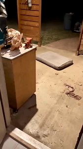 #pets & their #friends #lol 😂 | Doctor Dot