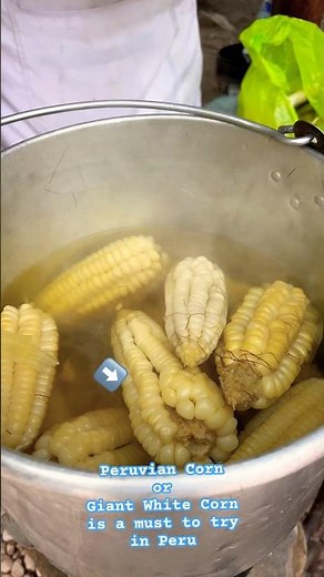 Peruvian Corn or Giant White Corn in Peru is a Must to Try! #perucorn #peru #giant #shortsvideo