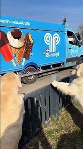 They Waited For THAT Ice-Cream Man… And He Came ❤️