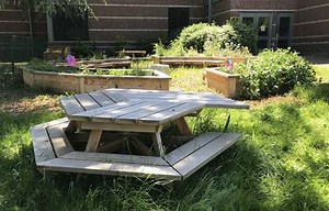 Try volunteering at Seattle’s school learning gardens to boost kids, families and community