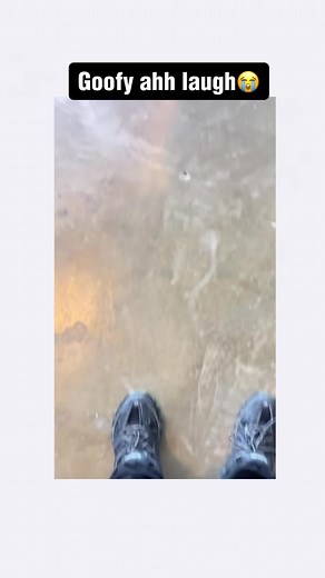 Funny Trash Can Meme Compilation