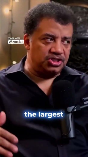 Whales Weigh ZERO in Water! Blue Whale Secret Like Finding Nemo 🐋🎥