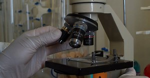 Video by RDNE Stock project on Pexels