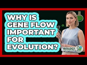 Why Is Gene Flow Important for Evolution?