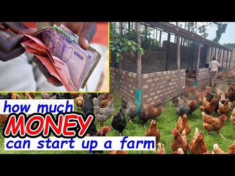 How much MONEY can i start up a poultry farm?