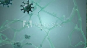 Exploring the structure of viruses and their behavior in a laboratory setting