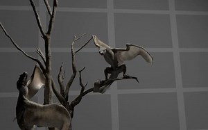 Ragdoll Creature Test