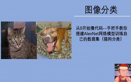 从0开始撸代码--手把手教你搭建AlexNet网络模型训练自己的数据集（猫狗分类）