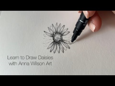Learn to Draw Flowers | Drawing Daisies Step by Step for All Skill Levels