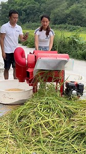 Portable rice thresher with 7.5hp gasoline engine #ricethresher #paddysheller | Backbone machinery