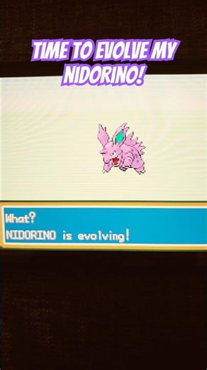Nidorino Fire Red Evolution! #pokemonchannel #pokemon #gaming #evolution