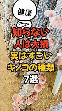 知らない人は大損キノコの種類7選#健康#健康情報#栄養