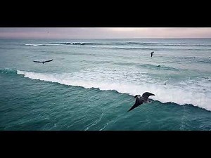 Camino Surfcamp Valdoviño, Galicia, Spain - It's not just surfing...