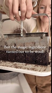 The last five years of soil block recipe experiments have been a wild ride—researching, trying different products: it’s kept me busy (and dirty)! The answer came when I sheared my sheep last spring—I didn’t know what to do with the discards from the wool shearing (wool sheep HAVE to be sheared or else they can overheat and die), until someone wrote to me about wool pellets. Once I experimented mixing them up with peat-free potting soil and starting seeds in it, I was HOOKED. The wool has slow re