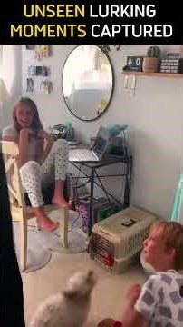 stealth mode pranks captured on camera #shorts #stealth #funny