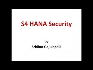 What is S4 Hana Security ???