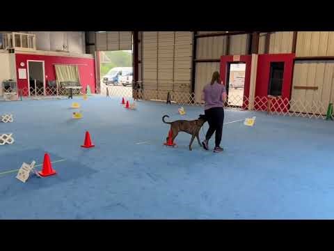 Virtual Rally Novice Course 1