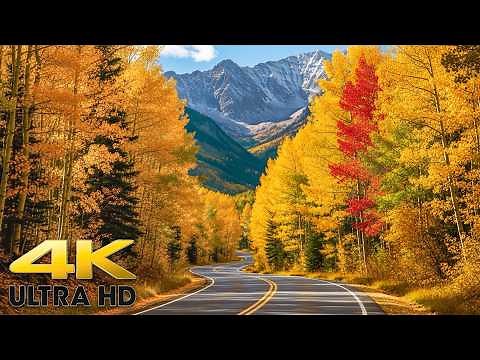 Peak Fall Colors in Colorado: Independence Pass Scenic Drive - Aspen to Twin Lakes 4K