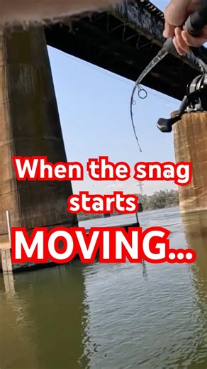 WHEN YOUR SNAG STARTS MOVING... #fishing #eotlfishing #bassfishing #fish #springfishing